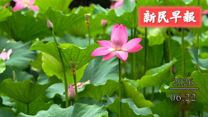 “梅完梅了”雨水刷屏；上海电视节开幕|新民早报[2026.6.22]