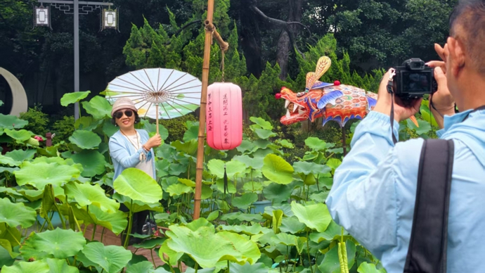 覆盖七区！沪上最大规模荷莲展启幕，荷花还送到了夏装版“潦草小狗”身边