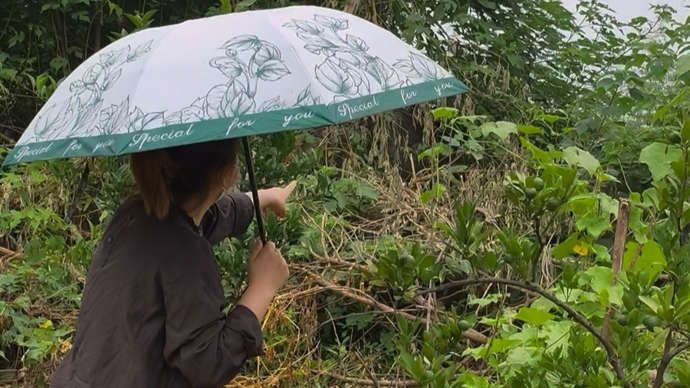 女子离婚当晚被前夫杀害案二审，两位女儿讲述最大的心愿｜新民特稿