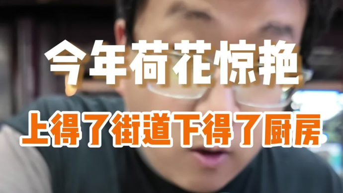 上海荷花首次上街，还和“潦草小狗”联动