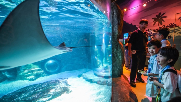 长风海洋世界启动“海洋生物救援小队”暑期活动，打造海洋生命教育新课堂