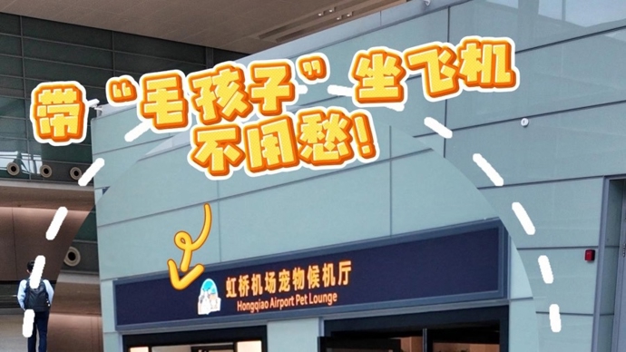 魔都生活指北 | “毛孩子”有了自己的专属候机厅，就在虹桥机场2号航站楼