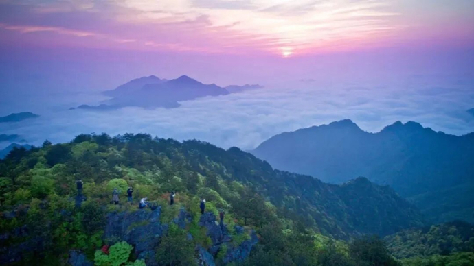 从“住一夜”到“玩一夏”，松阳“村居短住”又升级了
