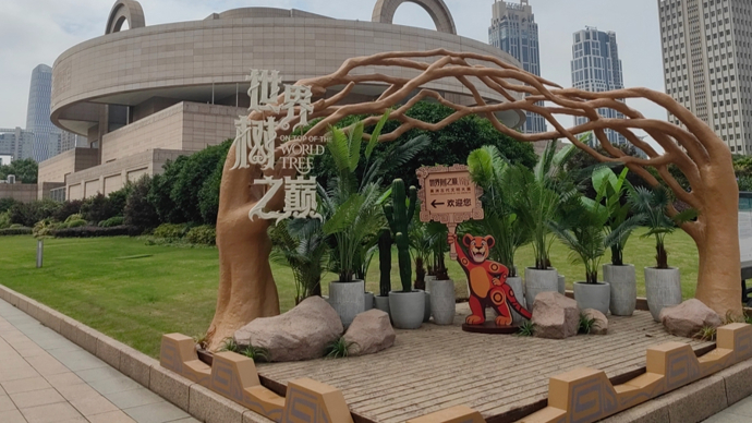 世界树、马王堆开幕在即，美洲文明、中华文明如何在上海对话？