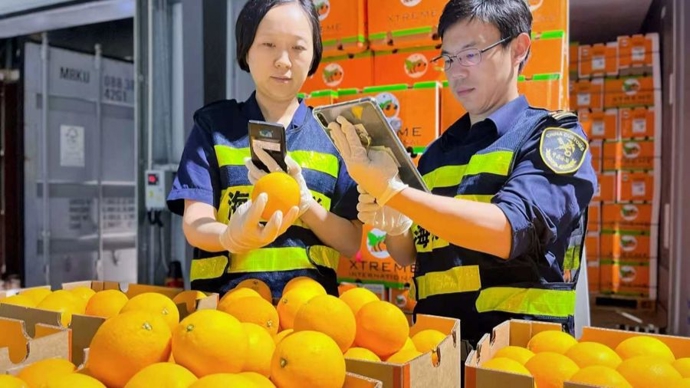 零关税落地双满月，上海口岸狂揽12亿非洲53国好货，鲜果成本直降17%