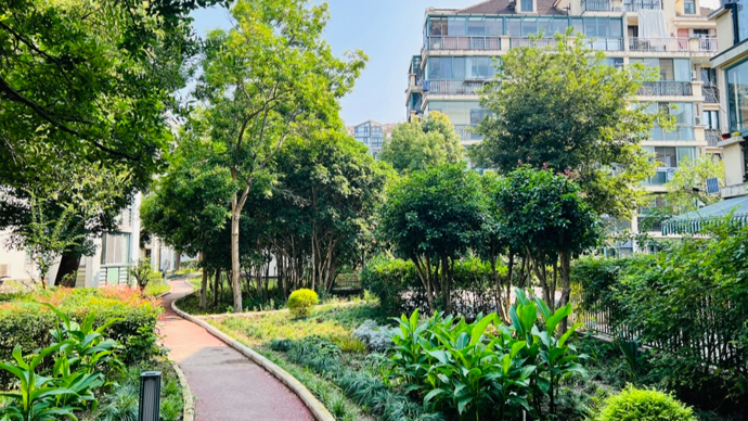 嘉定百合里小区：荒芜角落变身“共享花园” 志愿团队挥汗“共植美好”