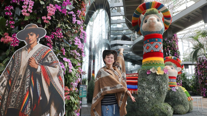 品龙舌兰特调？撸“凤梨羊驼”？上海这个美洲植物展够“野”