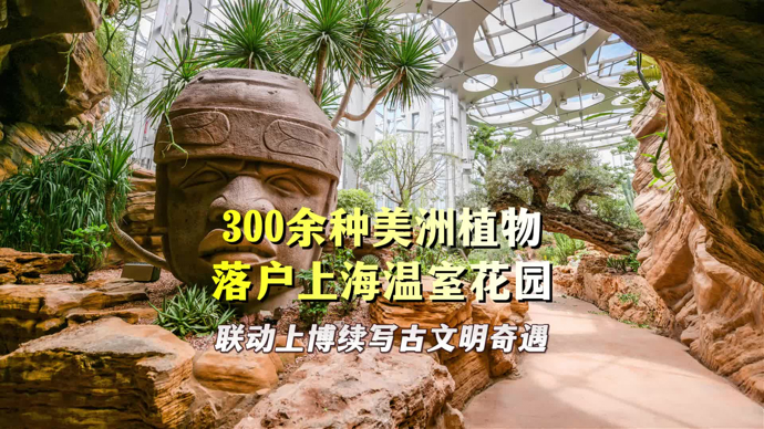 文汇视讯｜300余种美洲植物落户上海温室花园，联动上博续写古文明奇遇