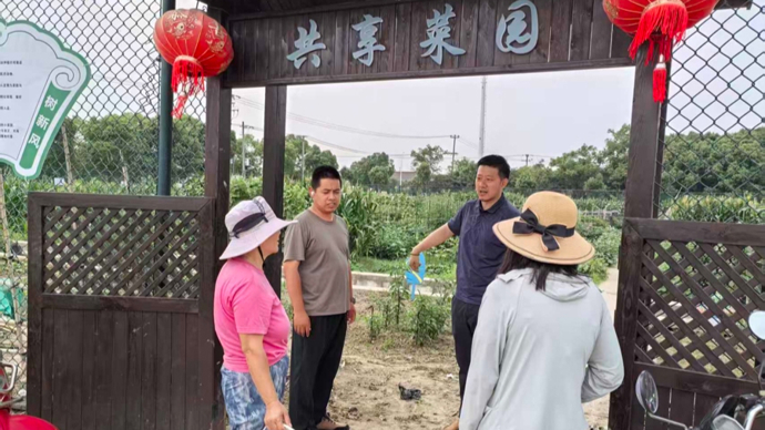 7个村的村民集中居住怎么管？金山这里解锁“村管社区”治理新路径