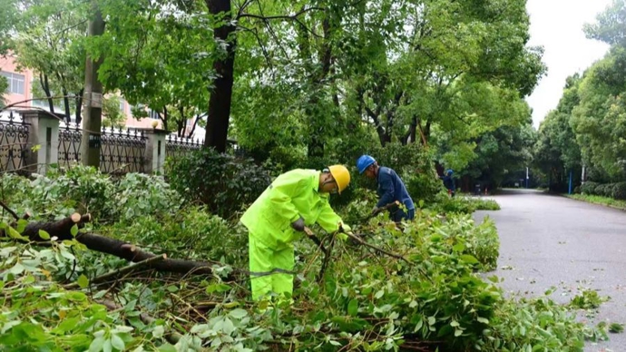 松江供电公司将清理树障2500棵