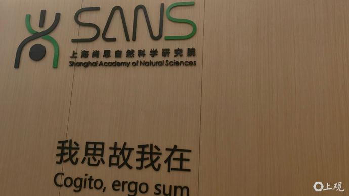 一家不设实验室的研究院，为何让国内外优秀科学家心向往之|活力中国调研行