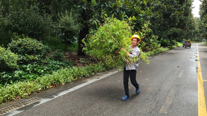 台风“巴威”一线见闻：上海彻夜抢修电网基站，倒伏树木最快1小时清运