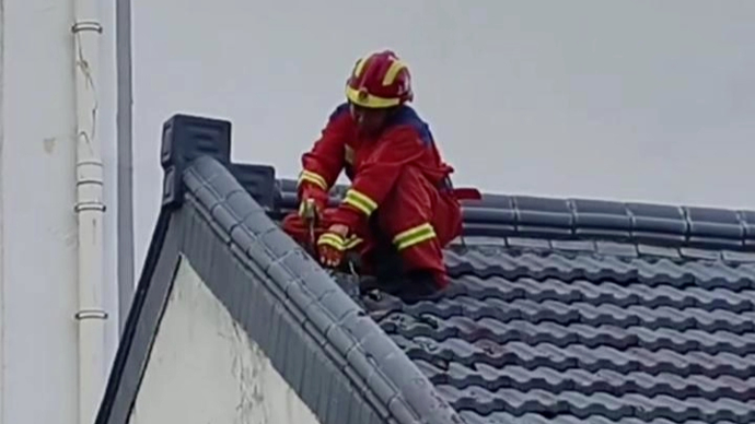 事发上海，台风刮裂烟囱！消防人员10分钟解除隐患