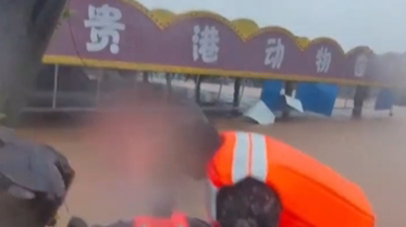 广西一动物园被淹，工作人员为防猛兽外逃冒险锁死兽舍，自己被困集装箱6小时