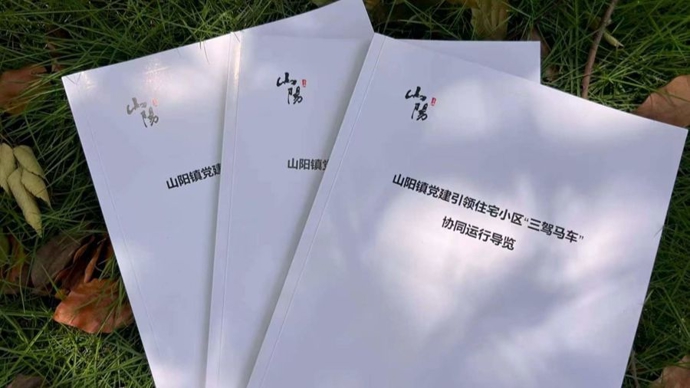 打通服务“最后一米”，金山区山阳镇这匹“马车”跑出了新路子