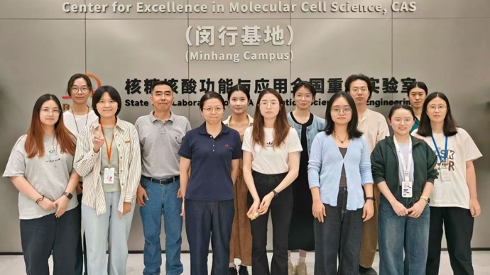 世界首个！删了基因“乱码”，上海科学家构建的真核细胞竟还能活
