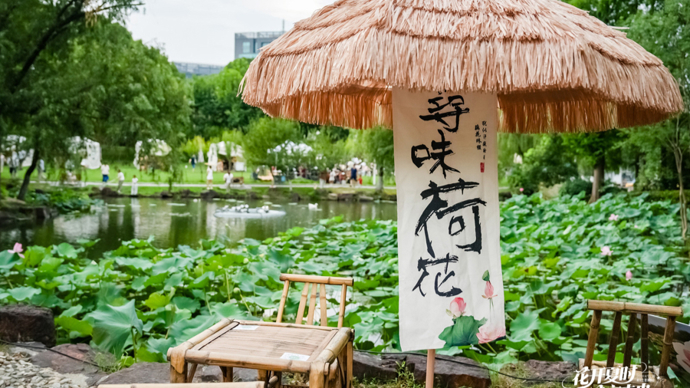 夜游赏荷！大宁公园荷花主题游园会来啦