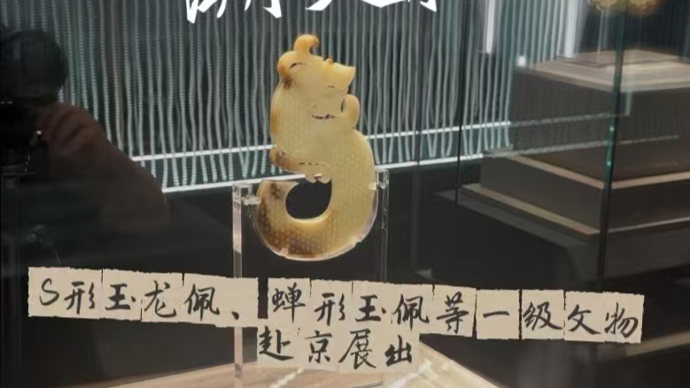 循玉光，溯文脉，S形玉龙佩等西汉楚国玉器精品在京展出