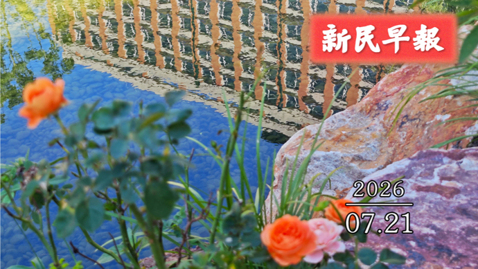 暴雨再上线；“上海—都柏林”直飞开通 | 新民早报[2026.7.21]