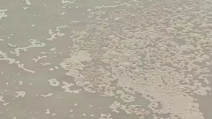 威海一海洋牧场周边有黄水入海，网友质疑为排污，当地回应：系养殖尾水，正取样检测