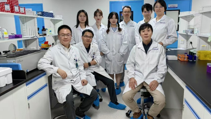 有望告别终身注射胰岛素！上海科学家勇闯医学“无人区”，另辟蹊径攻关糖尿病