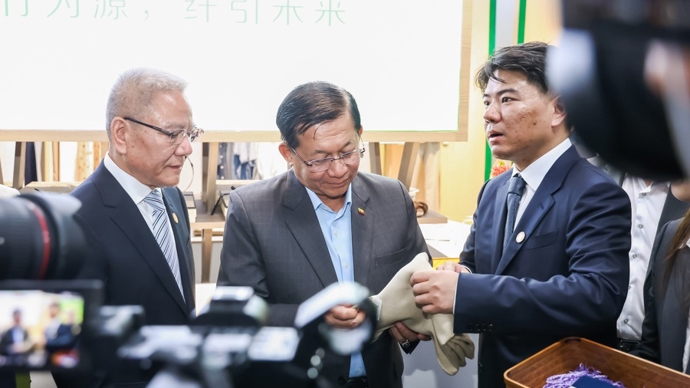 缅甸总统到杭州，为什么偏偏造访一家和竹子有关的企业？老板都蒙了
