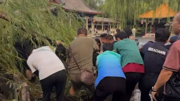 趵突泉景区就“大树折断刮倒16名游客”发布通报