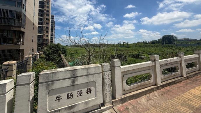 四座桥就位七八年，桥下的牛肠泾河道为何迟迟不贯通？｜夏令热线