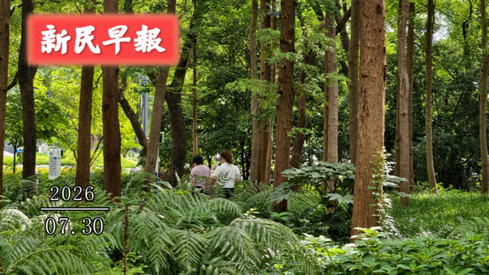今冲38℃；三伏天公园“晒背”引争议 | 新民早报[2026.7.30]