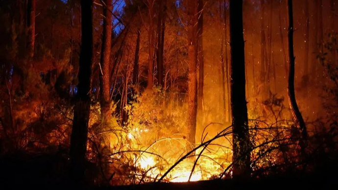 巨响震耳欲聋，法国野火引爆二战弹药库