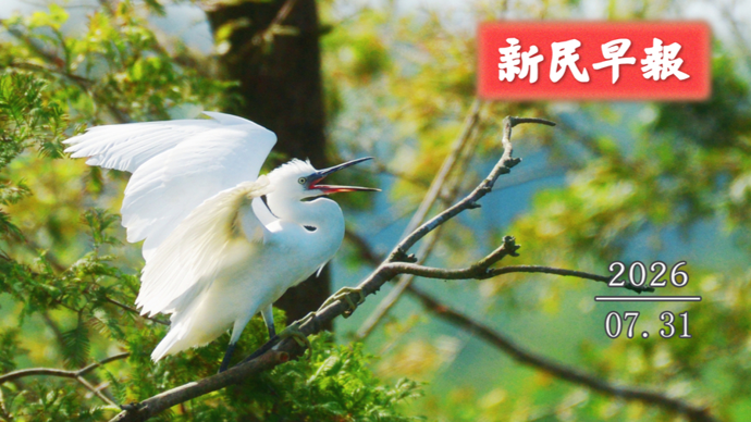 从早热到晚；ChinaJoy开幕 | 新民早报[2026.7.31]