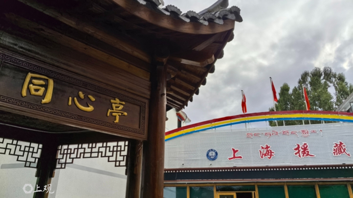 三年五年都不回，为何眼里还含泪？上海首批医科西藏专招生“超期服役”第十年