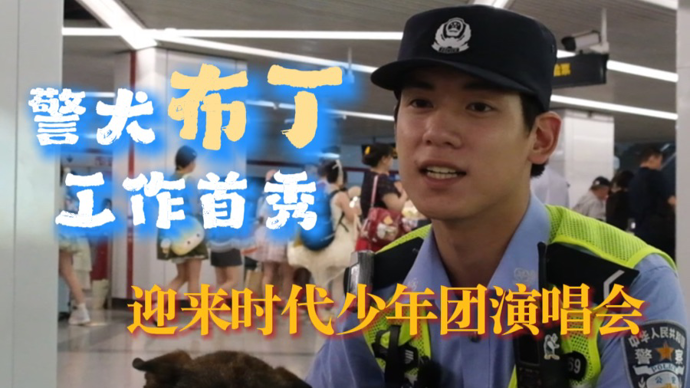 视频｜警犬布丁工作首日遇上时代少年团演唱会