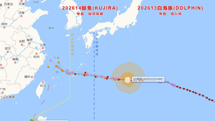 台风“白海豚”最新路径更新，“向偏西方向移动”，新台风“鲸鱼”今天凌晨生成
