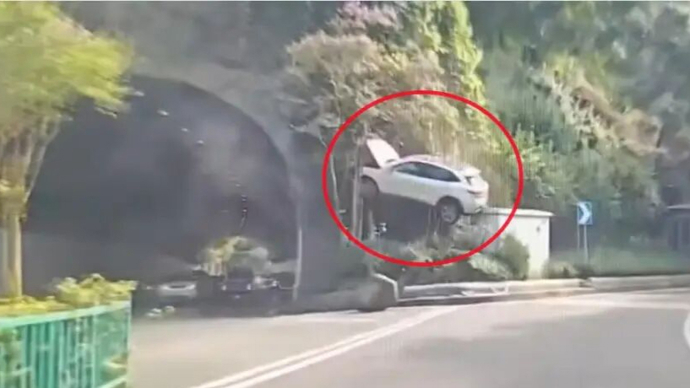 SUV行驶中突然腾空上树，车上两人被救出！市民：该路段之前也发生过事故