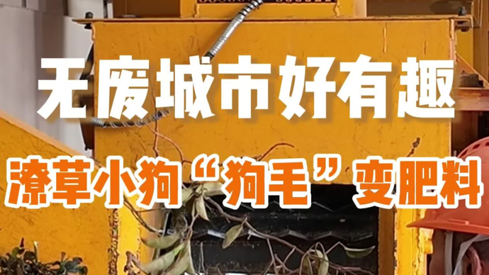 潦草小狗掉的“狗毛”没扔，换个身份陪伴