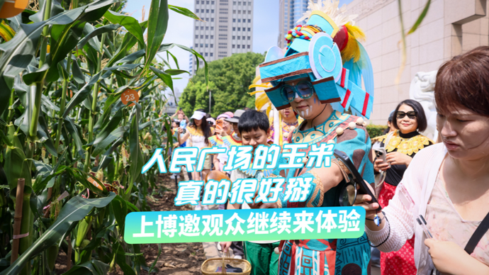 文汇视讯｜玉米再次飘香人民广场，上博邀观众继续掰玉米