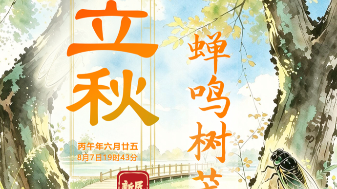 立秋：城里的蝉鸣越来越响？这波生态“上大分”！｜新民·新七十二候