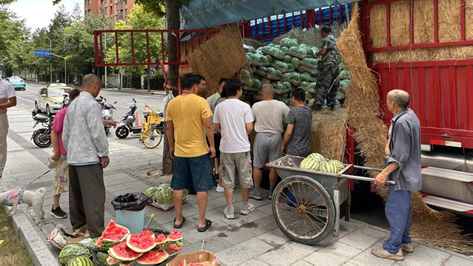 西瓜“保卫战” ｜新民特稿