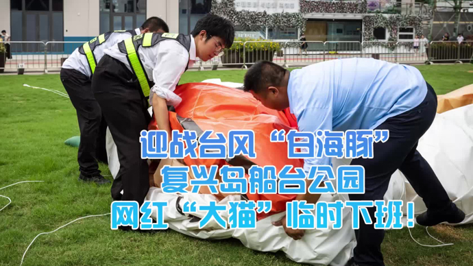 文汇视讯｜迎战台风“白海豚”，复兴岛船台公园网红“大猫”临时下班！