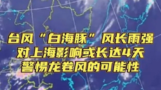 上海人严阵以待！“白海豚”有四大风险点，路径又变！风力升级！权威问答收好