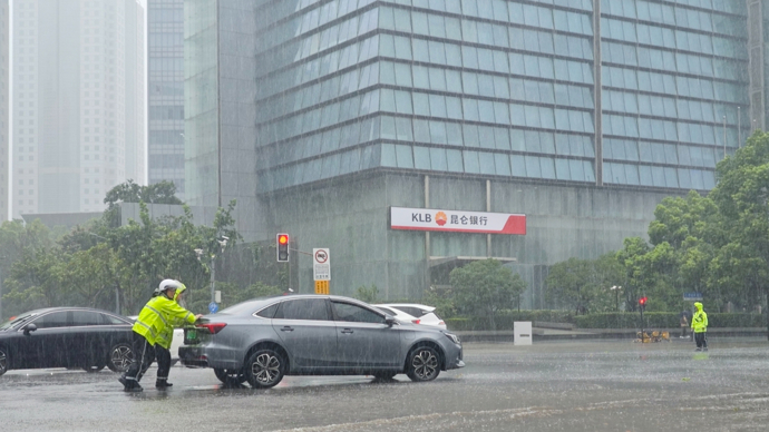 上观时评 | “白海豚”后，申城如何把城市安全防线筑得更牢？