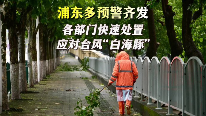 文汇视讯｜浦东多预警齐发，各部门快速处置应对台风“白海豚”
