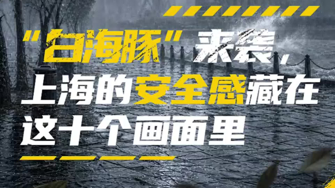“白海豚”来袭，上海的安全感藏在这十个画面里