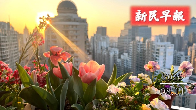今早仍有大到暴雨；苏州河水强排至黄浦江|新民早报[2026.8.11]