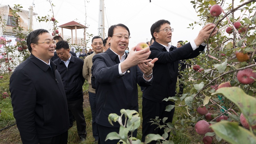 龚正市长率上海市代表团深入云南怒江等地，携手努力为乡亲创造更多致富机会