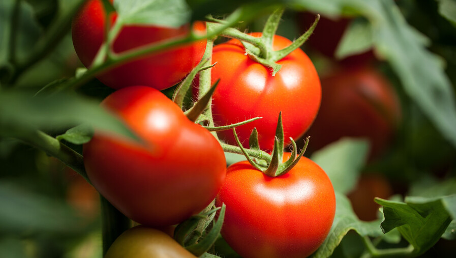 e7db2e42aaf845d68259c2b373a9b07c.jpeg?t=1677549182000