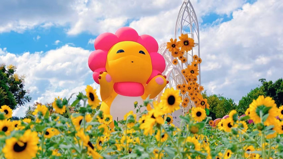 上海花展览