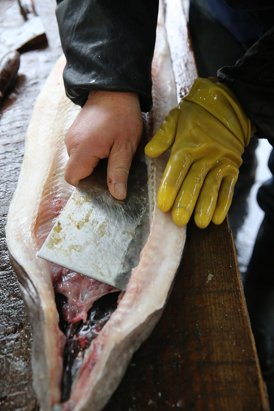 杀鳗鱼是个体力活,一条鳗鱼从破肚,清理,有多道工序,道具也有4,5种,半
