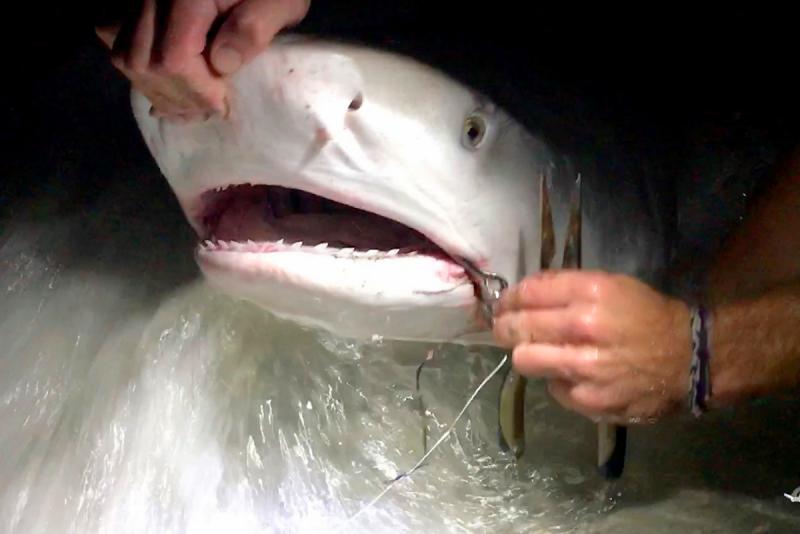 看世界独眼群像声援失去左眼的叙利亚战争孤儿